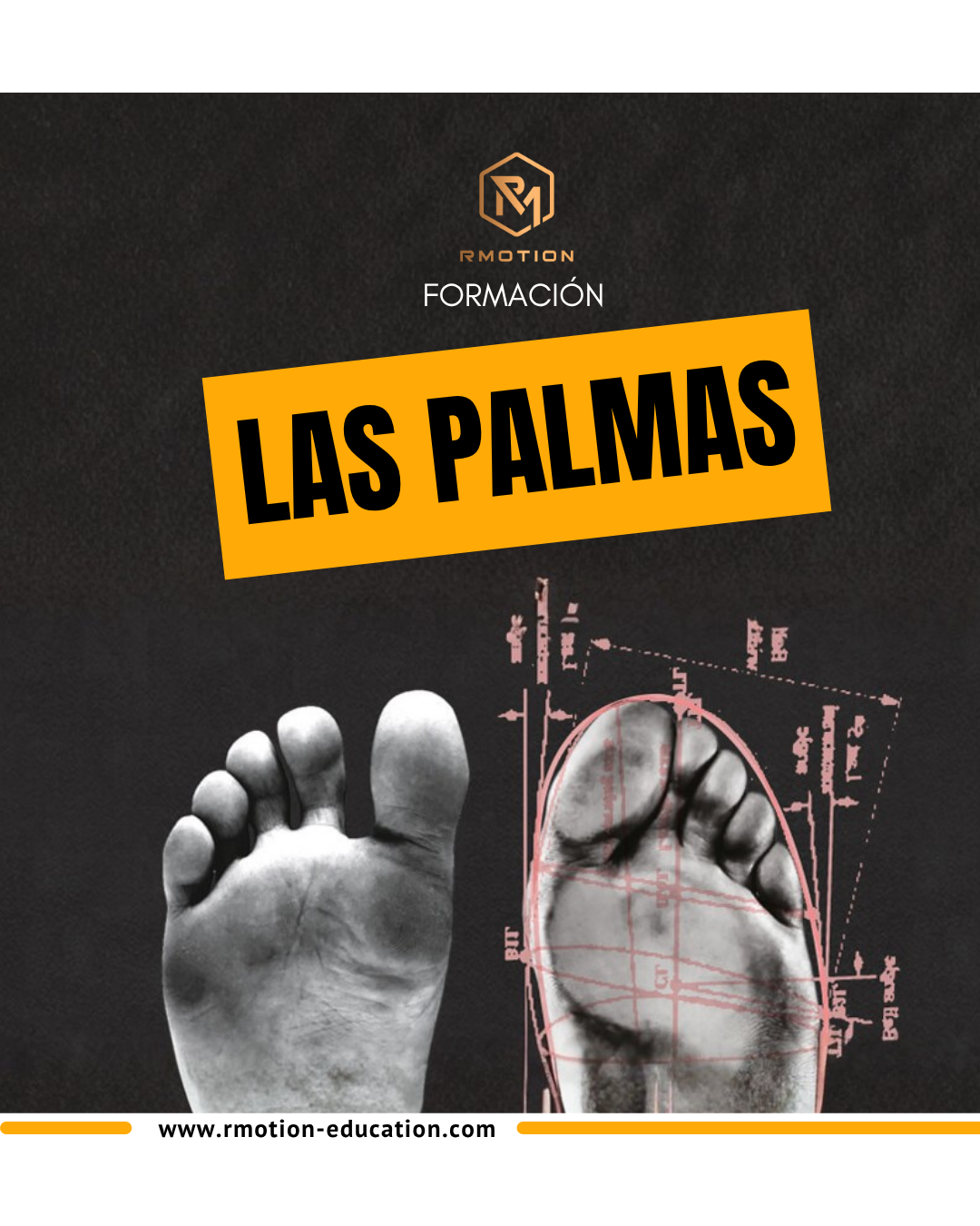 WORKSHOP LAS PALMAS